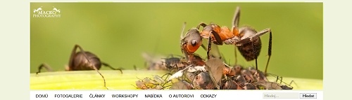 Pavel Krsensk - www.macrophotography.cz
