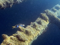 Lefkada 2012