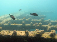 Lefkada 2012