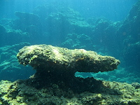 Rhodos (2019)