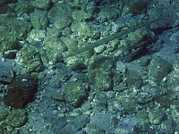 Rhodos (2019)