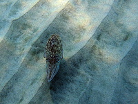 Thassos 2011
