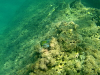 Zakynthos (2014)